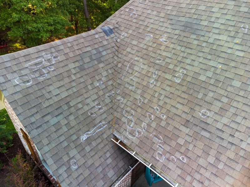 Roof Damage Inspection detail